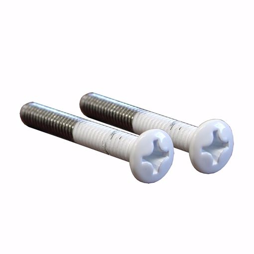 Picture of Polar White Overflow Plate Screws