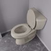 Picture of Biscuit Deluxe Molded Wood Toilet Seat, Closed Front with Cover, Elongated