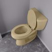 Picture of Citron Yellow Deluxe Molded Wood Toilet Seat, Closed Front with Cover, Elongated