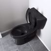 Picture of Black Plastic Toilet Seat, Open Front less Cover, Check Hinges, Elongated