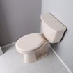 Picture of Biscuit Premium Plastic Toilet Seat, Closed Front with Cover, Slow-Close and QuicKlean® Hinges, Elongated