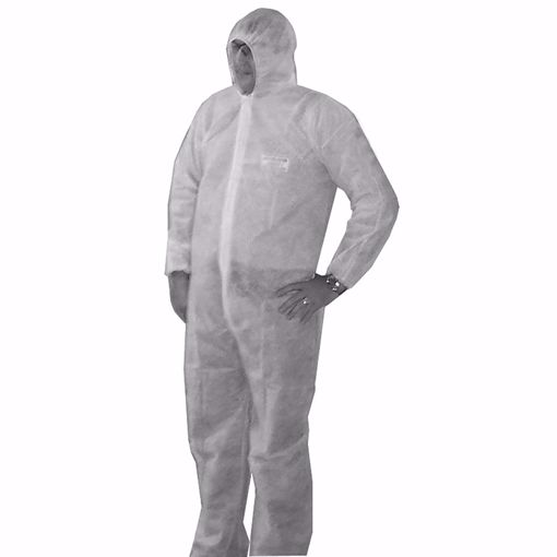 Picture of Large Disposable Coverall, Pack of 5