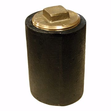 Picture of 4" Plain End Cleanout Long Pattern with 3" Raised Head (HEX) Heavy Pattern Plug - 4" Height