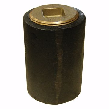 Picture of 4" Plain End Cleanout Long Pattern with 3-1/2" Raised Head (HEX) Heavy Pattern Plug - 4" Height