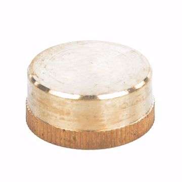 Picture of 3/4" Brass Garden Hose Cap with Washer