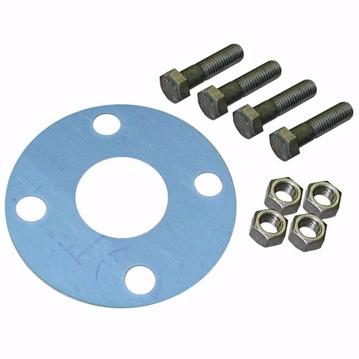 Picture of 2-1/2" Asbestos-Free Full Face Gasket, 5/8" x 3" Bolt Size