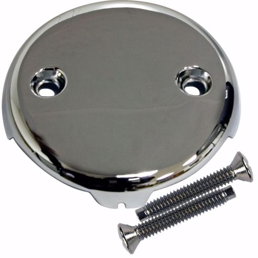 Picture of Chrome Plated Two-Hole Overflow Plate with Screws