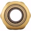 Picture of 1/2" x 3/4" FPT PlumBite® Push On Reducing Adapter, Bag of 1