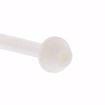 Picture of 3/8" x 20" PEX Toilet Riser with Bullnose, Carton of 10