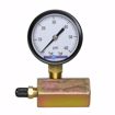 Picture of 2" 60 psi Gas Test Gauge Assembly