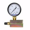 Picture of 2" 100 psi Gas Test Gauge Assembly