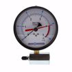 Picture of 4" 5 psi Dual Scale Gas Test Gauge Assembly