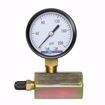 Picture of 2" 200 psi Gas Test Gauge Assembly