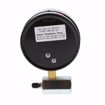 Picture of 4" 15 psi Dual Scale Gas Test Gauge Assembly