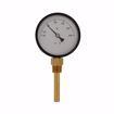 Picture of 3-1/2" Bi-Metal Dial Thermometer, Bottom Mount