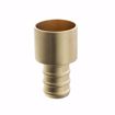 Picture of 1/2" F1807 x 3/4" Female Brass PEX Sweat Adapter, Bag of 50