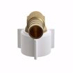Picture of 1/2" F1807 x FIP Brass PEX 90° Elbow with Poly Swivel Nut, Bag of 50