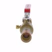 Picture of 3/4" Full Port Brass Ball Valve with Drain, CPVC Connection