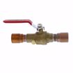 Picture of 3/4" Full Port Brass Ball Valve with Drain, CPVC Connection