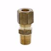 Picture of 1/4" x 1/8" Brass Compression x MIP Connector