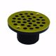 Picture of 2" IPS Plastic Spud with 4" Polished Brass Round Stamped Strainer PVC