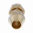 Picture of 1/2" Brass Flare Union
