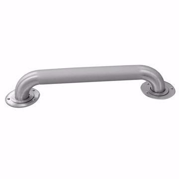 Picture of 1-1/4" x 12" Peened Stainless Steel Grab Bar with Exposed Screws