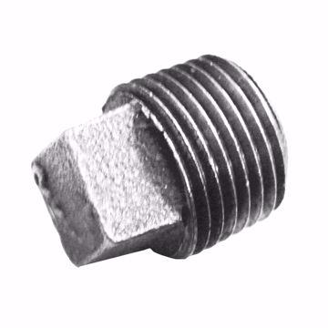 Picture of 1-1/4" Galvanized Iron Plug