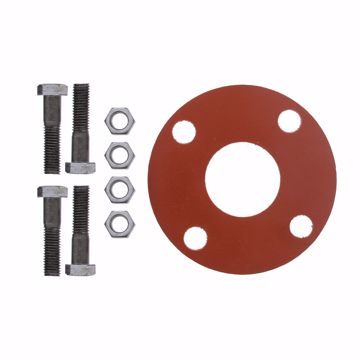 Picture of 2" Red Rubber Full Face Gasket Kit, 5/8" x 2-3/4" Bolt Size