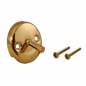 Picture of Polished Brass Two-Hole Trip Lever Overflow Plate with Screws