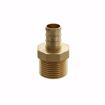 Picture of 1/2" F1807 x MIP Brass PEX Adapter, Bag of 25