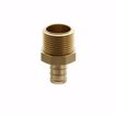 Picture of 1/2" F1807 x MIP Brass PEX Adapter, Bag of 25