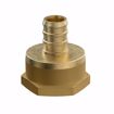 Picture of 1/2" F1807 x FIP Brass PEX Adapter, Bag of 50