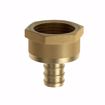 Picture of 1/2" F1807 x 3/4" FIP Brass PEX Adapter, Bag of 25