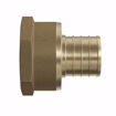 Picture of 1" F1807 x FIP Brass PEX Adapter, Bag of 25