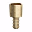 Picture of 1/2" F1807 x 3/4" Male Brass PEX Sweat Adapter, Bag of 25