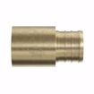 Picture of 3/4" F1807 Brass PEX Male Sweat Adapter, Bag of 50