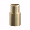 Picture of 3/4" F1807 Brass PEX Male Sweat Adapter, Bag of 50