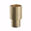 Picture of 3/4" F1807 Brass PEX Male Sweat Adapter, Bag of 50