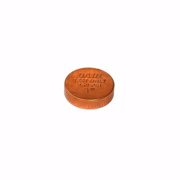 Picture of 1/2" C Wrot Copper DWV Test Cap