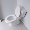 Picture of White Molded Wood Toilet Seat, Closed Front with Cover, Elongated