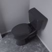 Picture of Black Deluxe Molded Wood Toilet Seat, Closed Front with Cover, Elongated