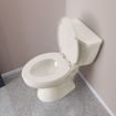 Picture of Bone Standard Plastic Toilet Seat, Closed Front with Cover, Elongated