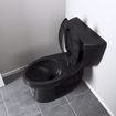 Picture of Black Plastic Toilet Seat, Open Front less Cover, Self-Sustaining Check Hinges, Elongated