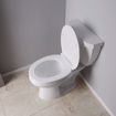 Picture of White Deluxe Plastic Toilet Seat, Closed Front with Cover, Slow-Close and QuicKlean® Hinges, Elongated