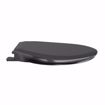 Picture of Black Premium Plastic Toilet Seat, Closed Front with Cover, Slow-Close and QuicKlean® Hinges, Elongated