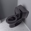 Picture of Black Premium Plastic Toilet Seat, Closed Front with Cover, Slow-Close and QuicKlean® Hinges, Elongated