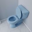 Picture of Regency Blue Deluxe Molded Wood Toilet Seat, Closed Front with Cover, Round