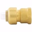 Picture of 1/2" x 1/2" FPT PlumBite® Push On Adapter, Bag of 1