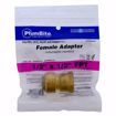 Picture of 1/2" x 1/2" FPT PlumBite® Push On Adapter, Bag of 1